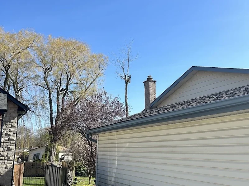 Cut Above Tree Services