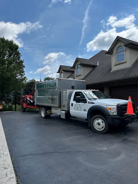 Borer's Falls Tree Service