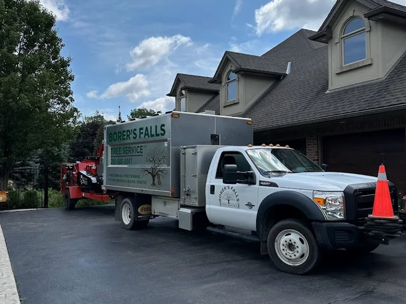 Borer's Falls Tree Service