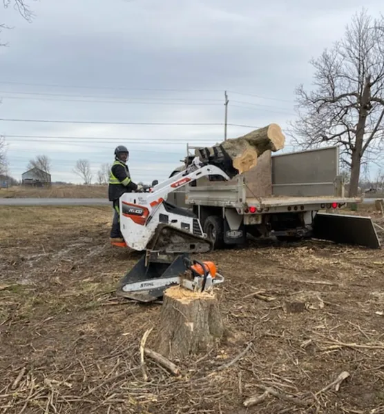 Stump Up Tree Service