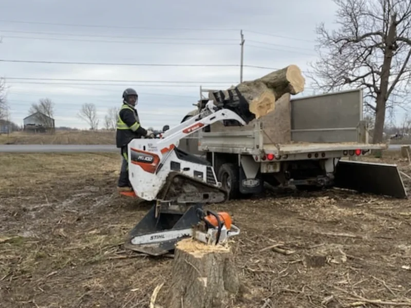 Stump Up Tree Service