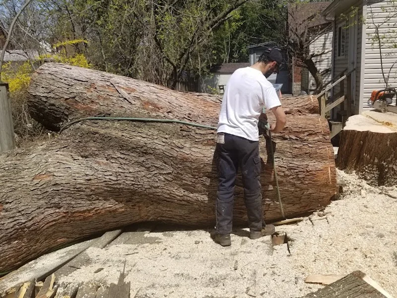 ArborJack Tree Services