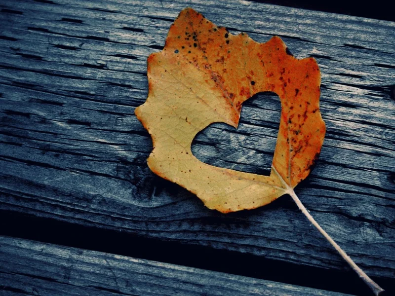 Bobbi Jo Turner, RMT