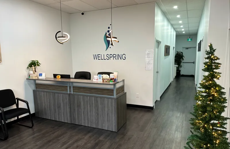 Wellspring health & wellness clinic, Physiotherapy,Pelvic floor, Chiropractor - Stoney Creek