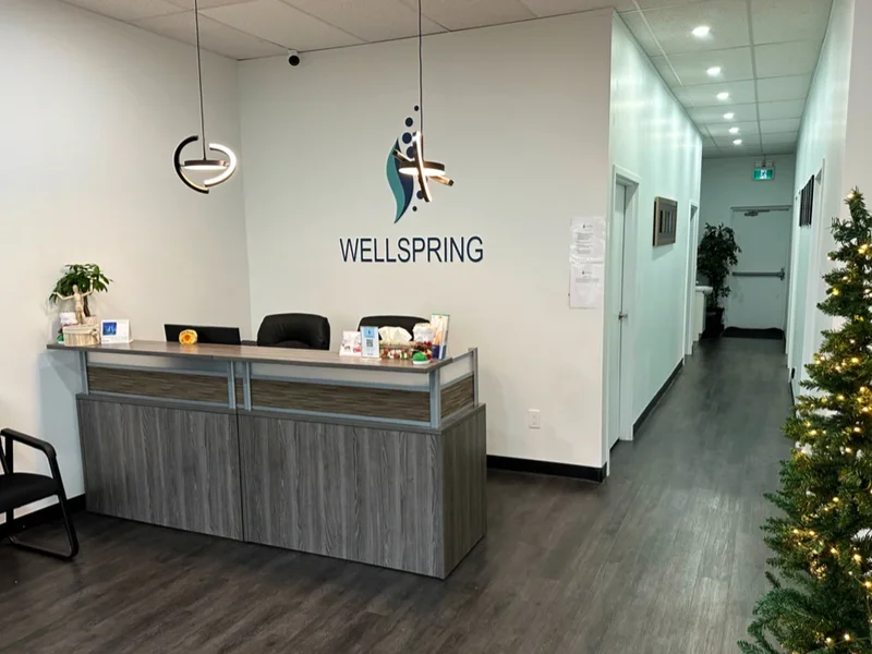 Wellspring health & wellness clinic, Physiotherapy,Pelvic floor, Chiropractor - Stoney Creek