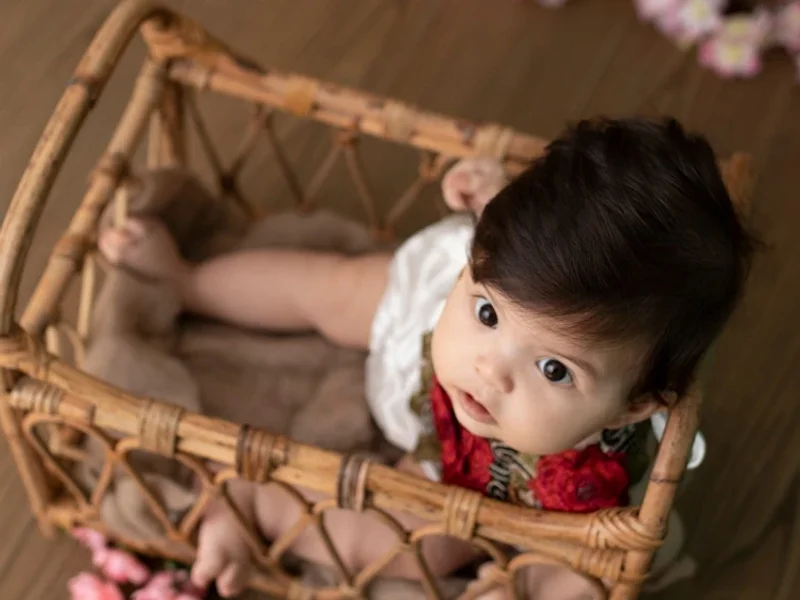 Little Fox Photography