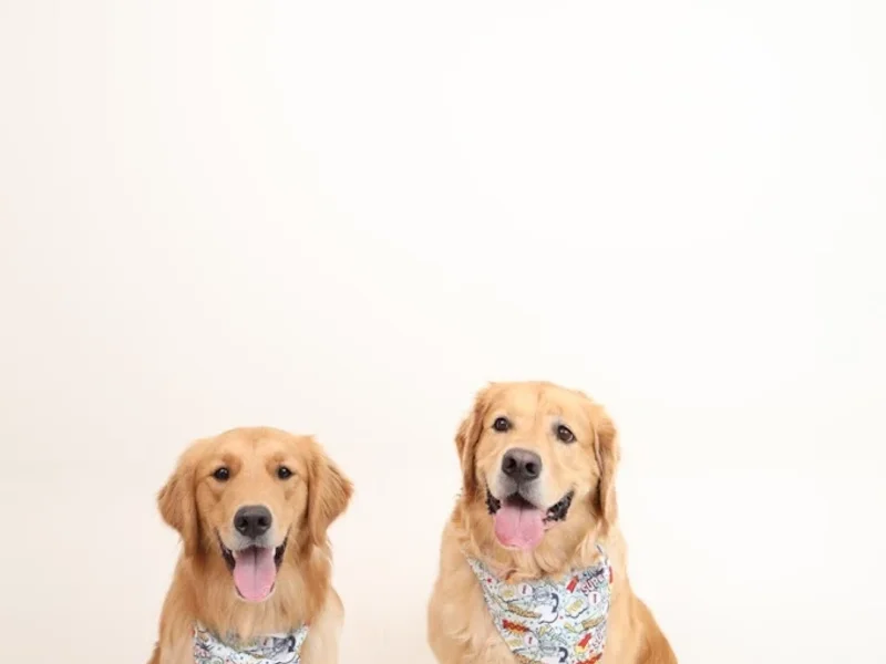 Modest Booth | Self Portrait Studio