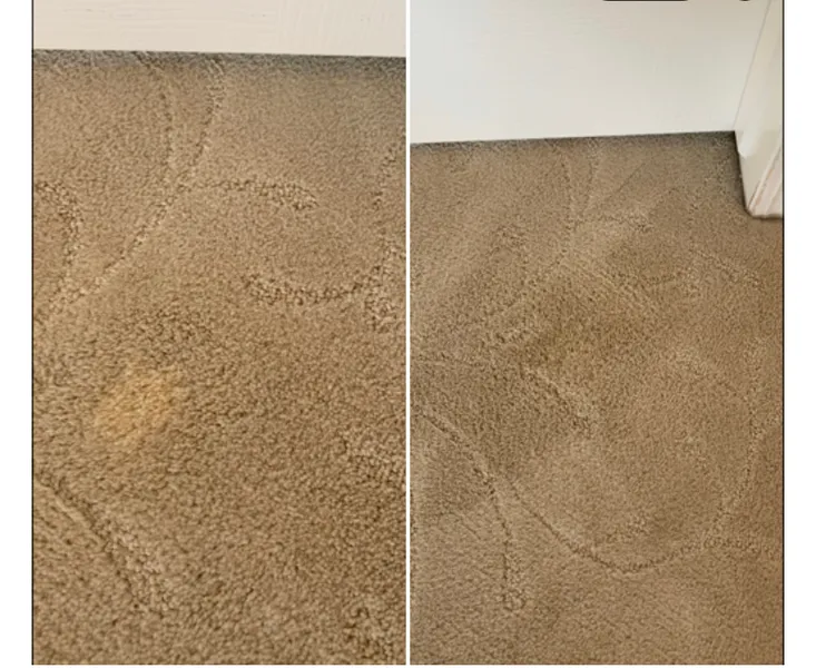 Carpet Magic