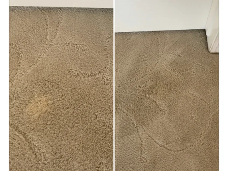 Carpet Magic