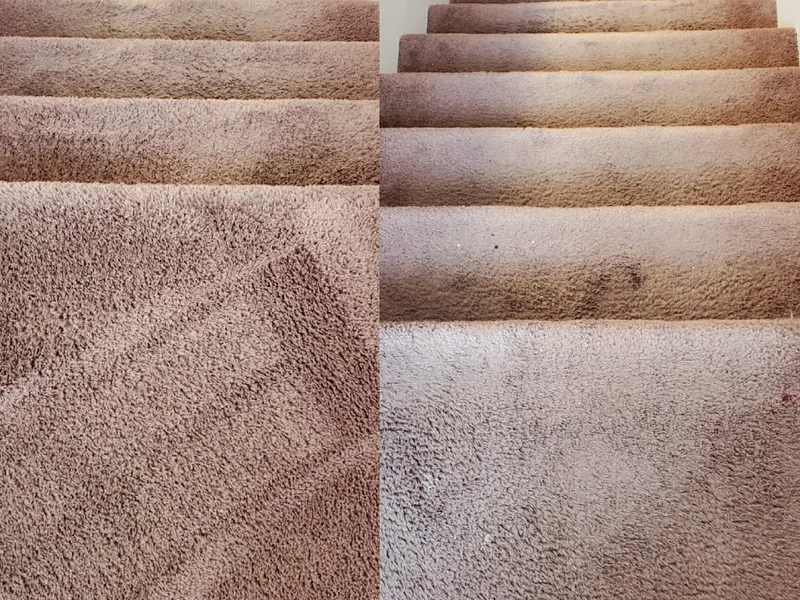 BANNIK FAMILY CARPET CLEANING SERVICE Winnipeg