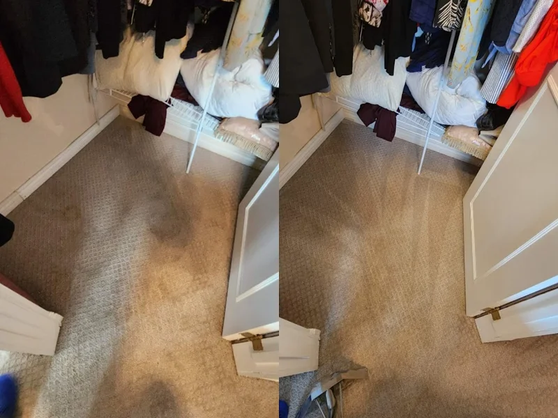 Winnipeg Professional Carpet & Upholstery Cleaning Services