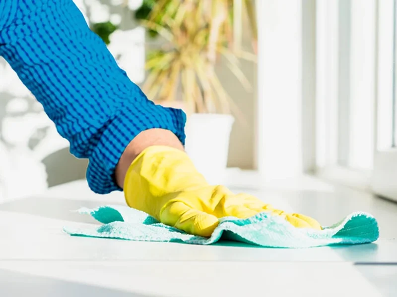 Hamilton Cleaning Services