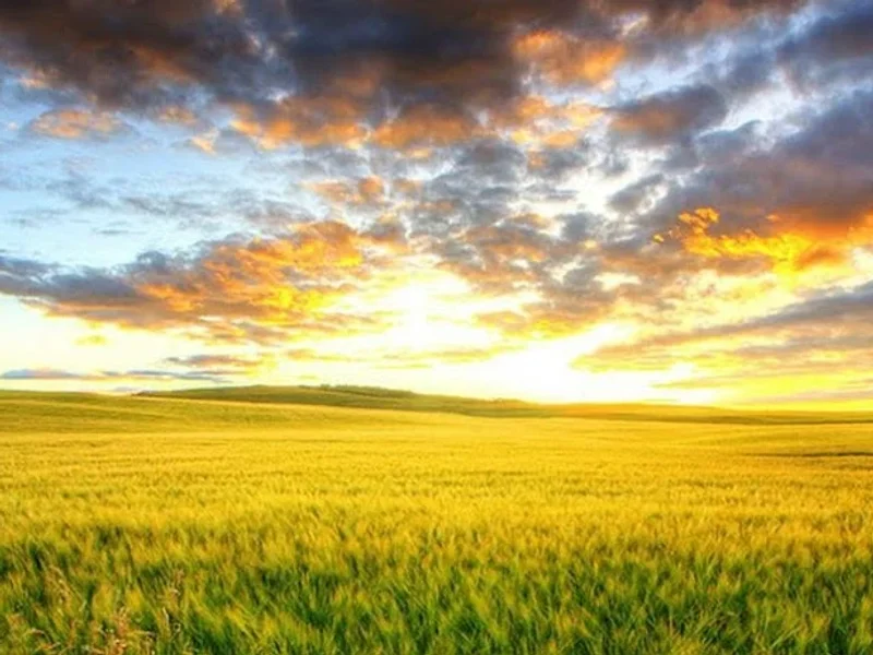 My Winnipeg Therapist