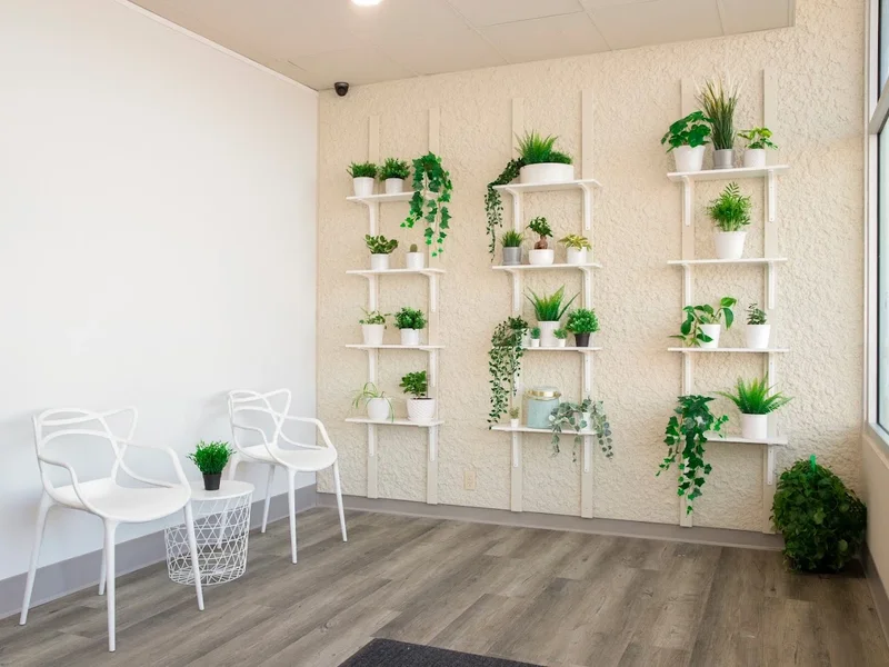 Nan Acupuncture Therapy Centre