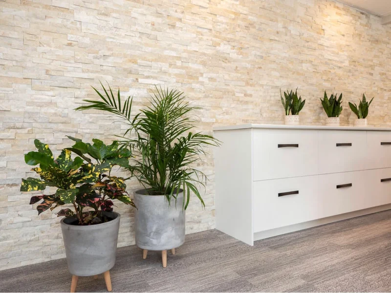 Family Acupuncture Wellness Clinic