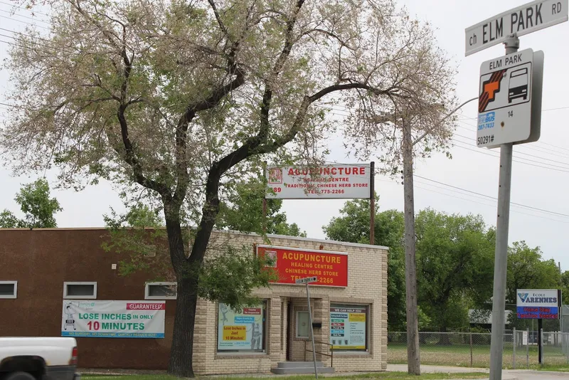 Ankang Acupuncture Healing Centre