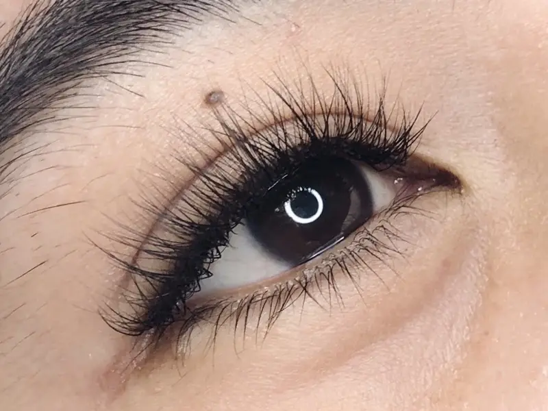 B.B. Artistry Lash & Brow Salon