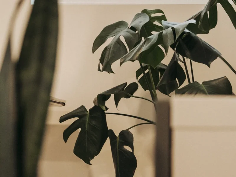 Brooke Sarah Artistry