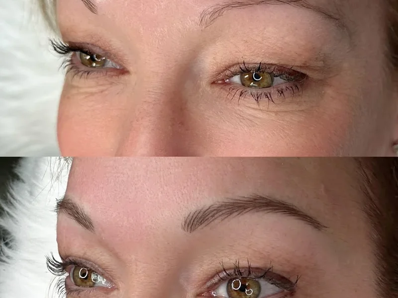 Maison Plume Permanent Makeup Laser Tattoo Removal