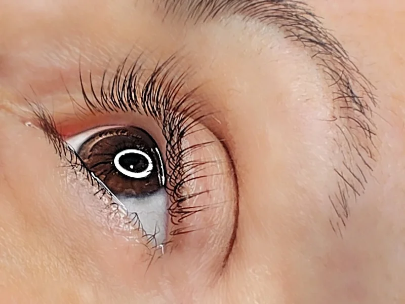 Butterfly Kisses Lash and Brow Beauty