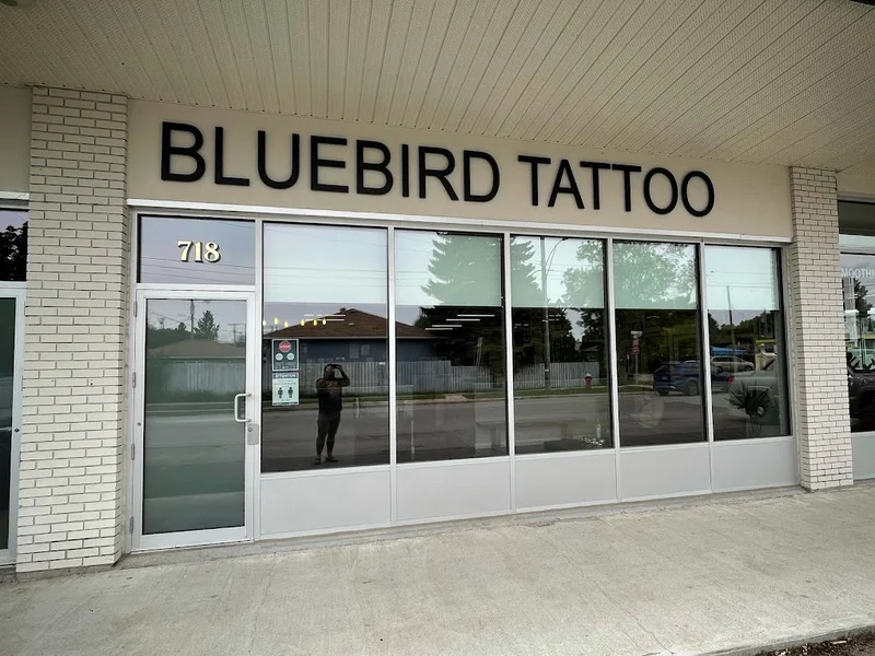 Bluebird tattoo