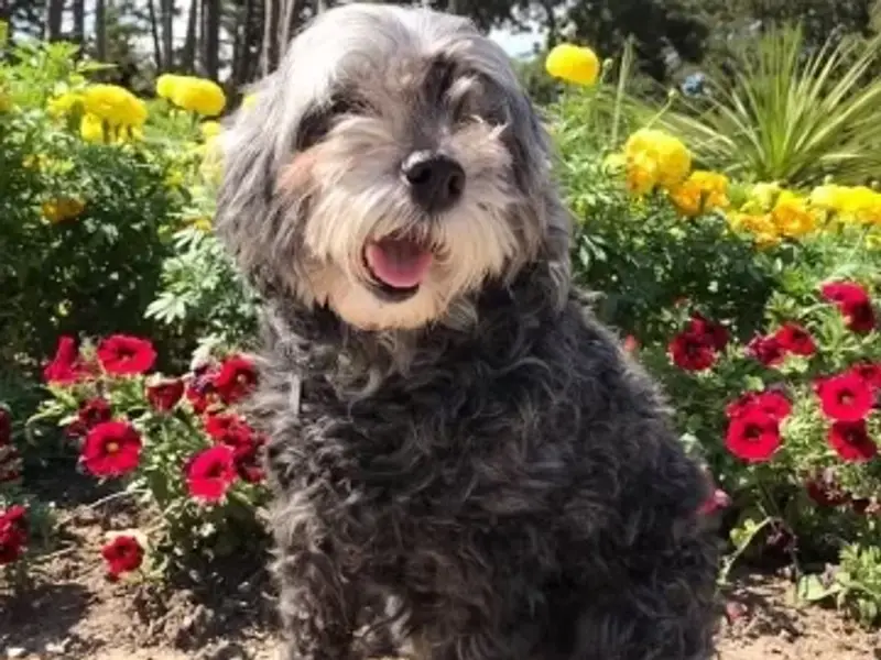 East Mountain Animal Hospital