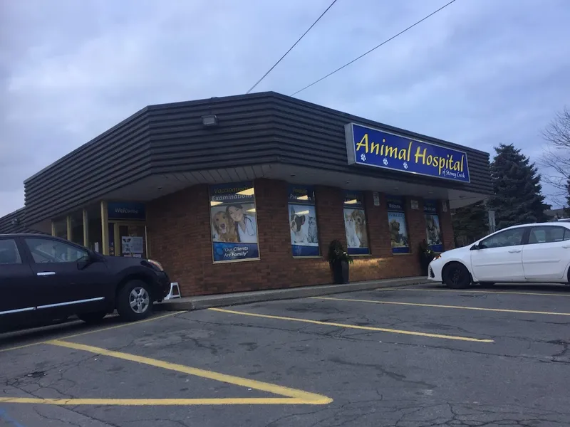 Animal Hospital Of Stoney Creek