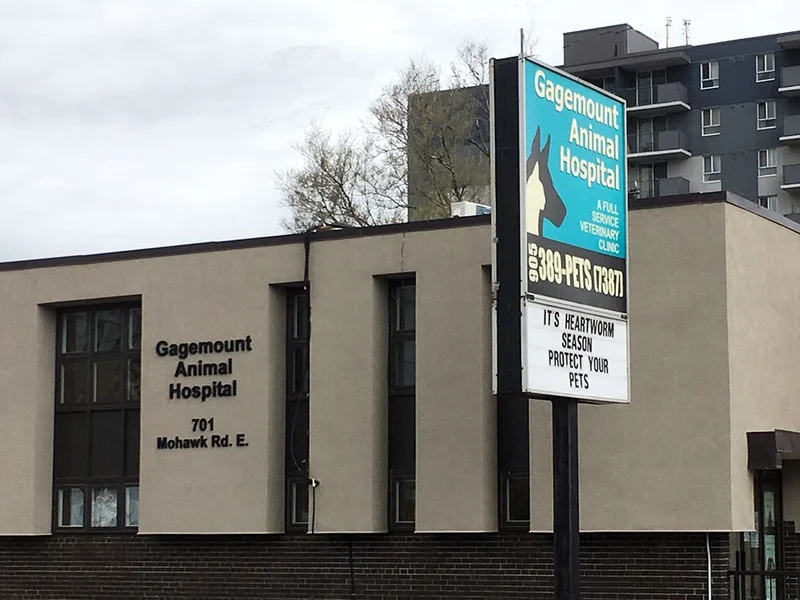 Gagemount Animal Hospital