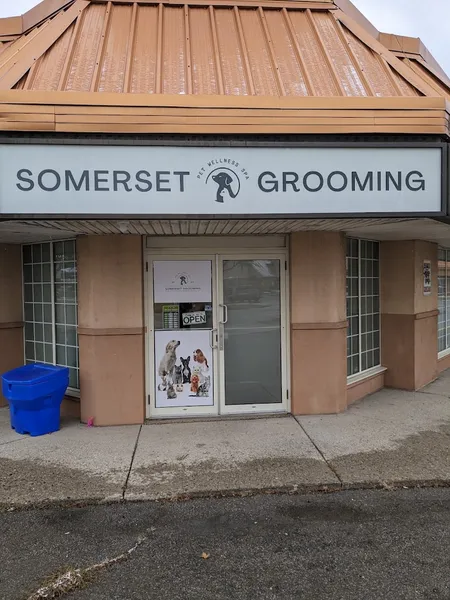 Somerset Grooming