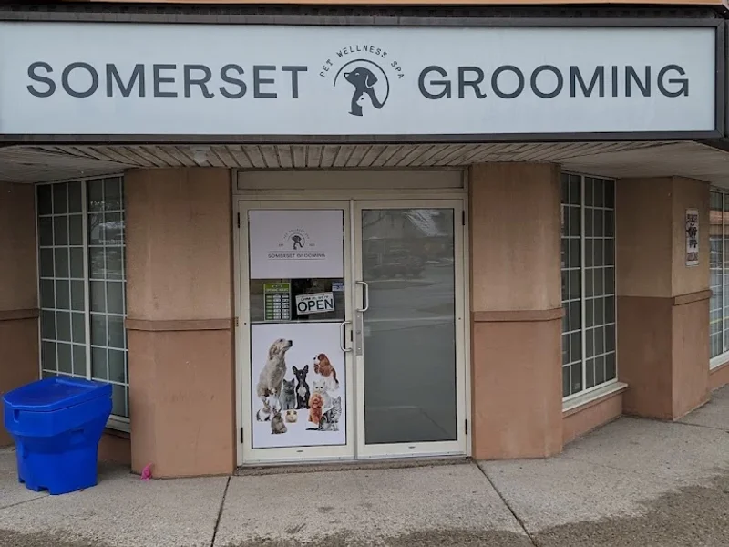 Somerset Grooming
