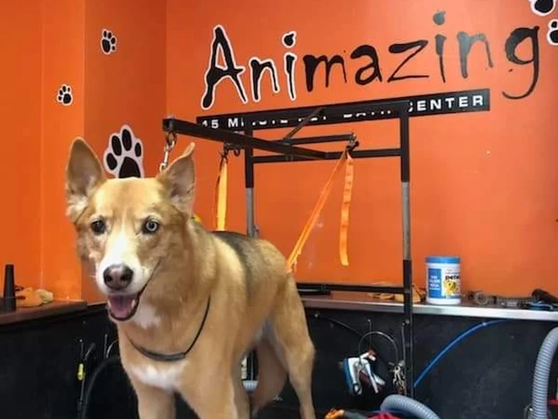 Animazing Pet Spa