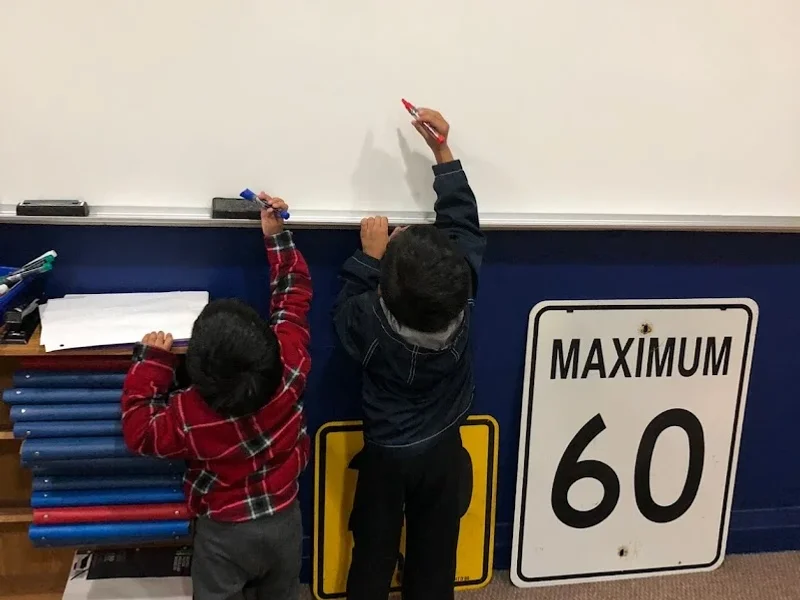 Sadia Driving Instruction