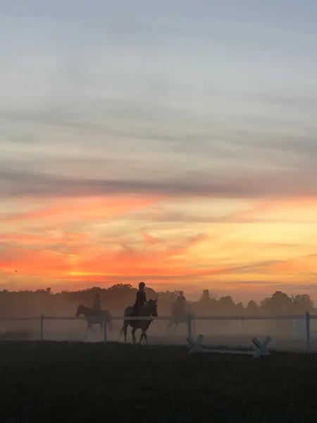 HidLea Stables