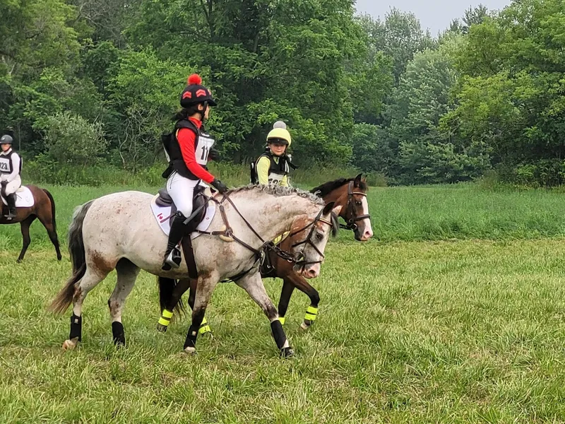 Bronte Creek Equestrian Centre