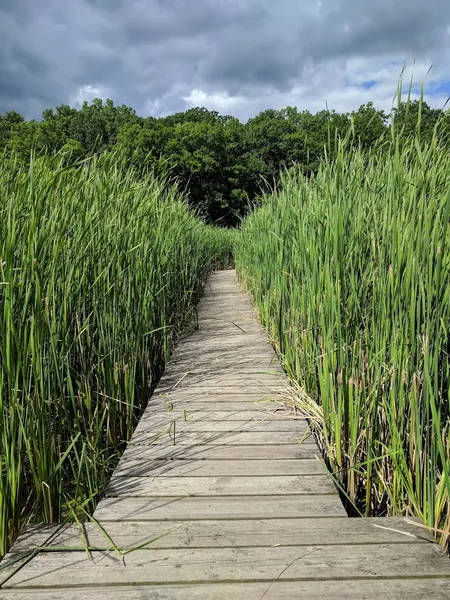 RBG Cootes Paradise Sanctuary