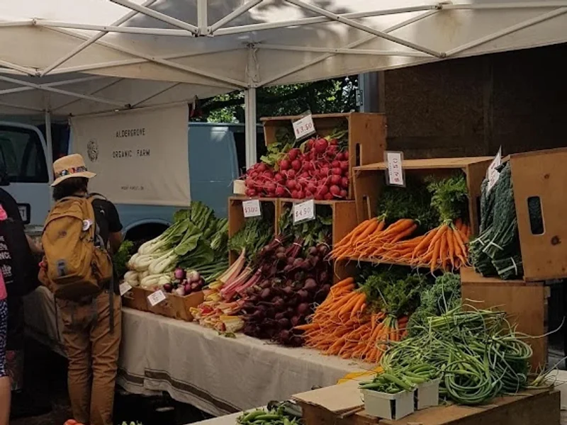 Dufferin Grove Organic Farmer's Market