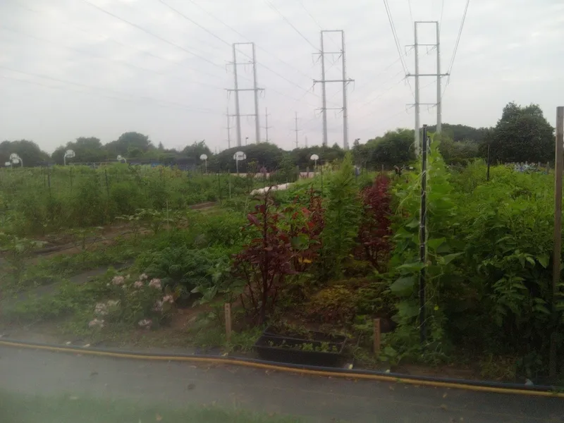 Flemingdon Community Farm