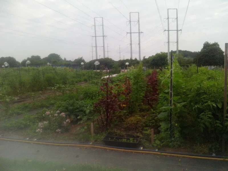 Flemingdon Community Farm