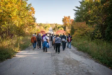 Best of 30 parks in Toronto