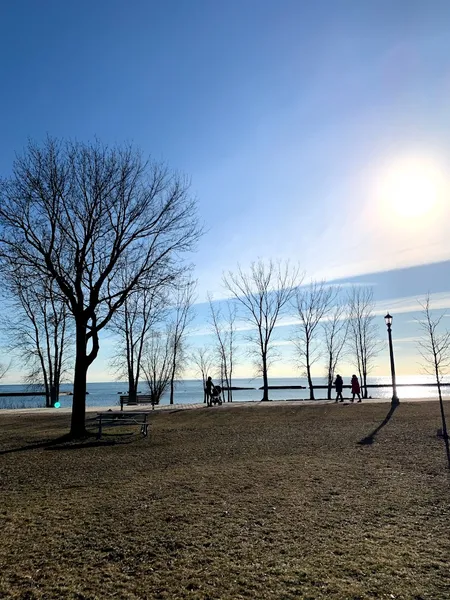 Sir Casimir Gzowski Playground