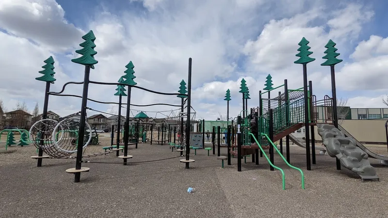 Tamarack Playground