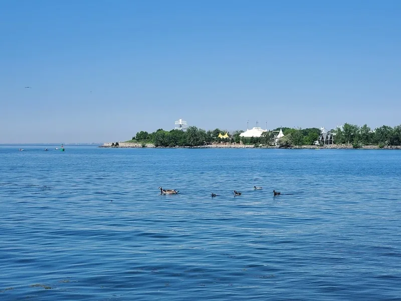 City Skyline and Sunset Viewpoint
