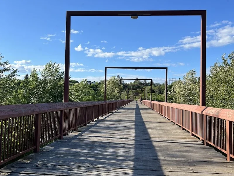 Capilano Foot Bridge #153