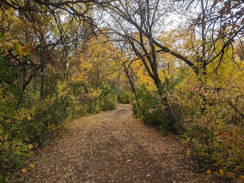 Bunn's Creek Centennial Park