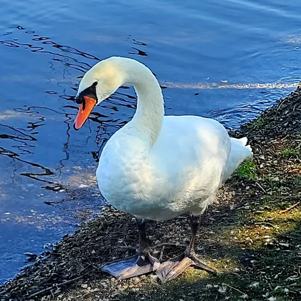 Bayfront Park