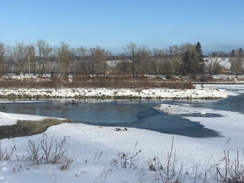 Inglewood Bird Sanctuary