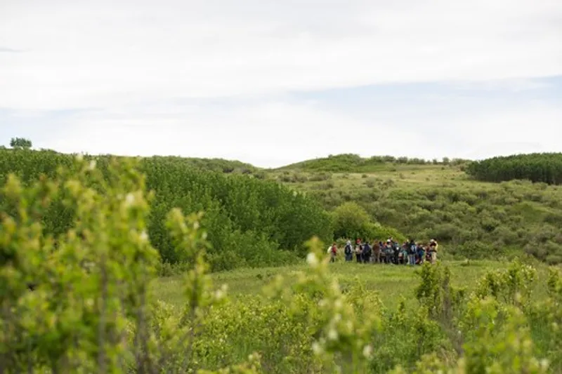 Nose Hill Park