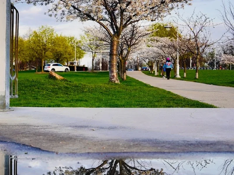 Bayfront Park Lookout Area