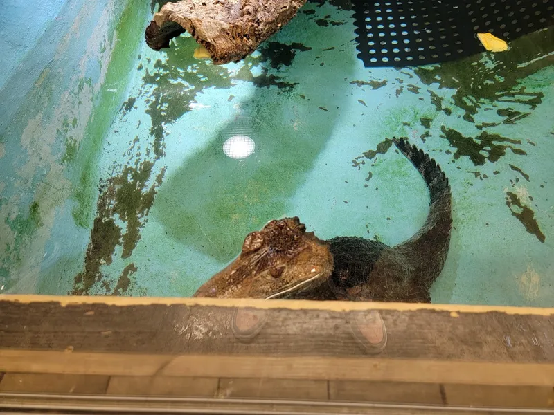 Little Rays Reptile Zoo and Nature Centre