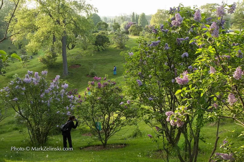 Royal Botanical Gardens - Arboretum